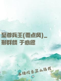 至尊兵王(零点风)